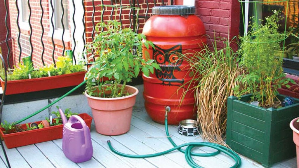 Rain Garden and Rain Barrel Workshop In&nbsp;Raleigh