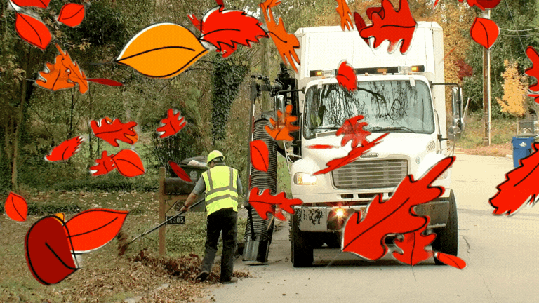 Raleigh’s Seasonal Leaf Collection Starts November&nbsp;12