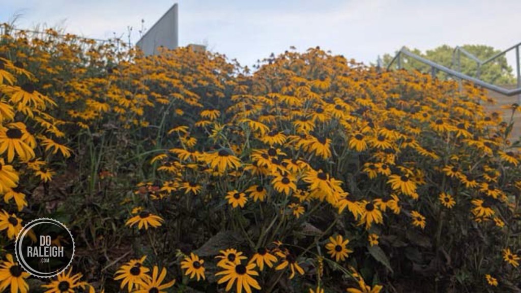 City of Raleigh Government Event&nbsp;Guide