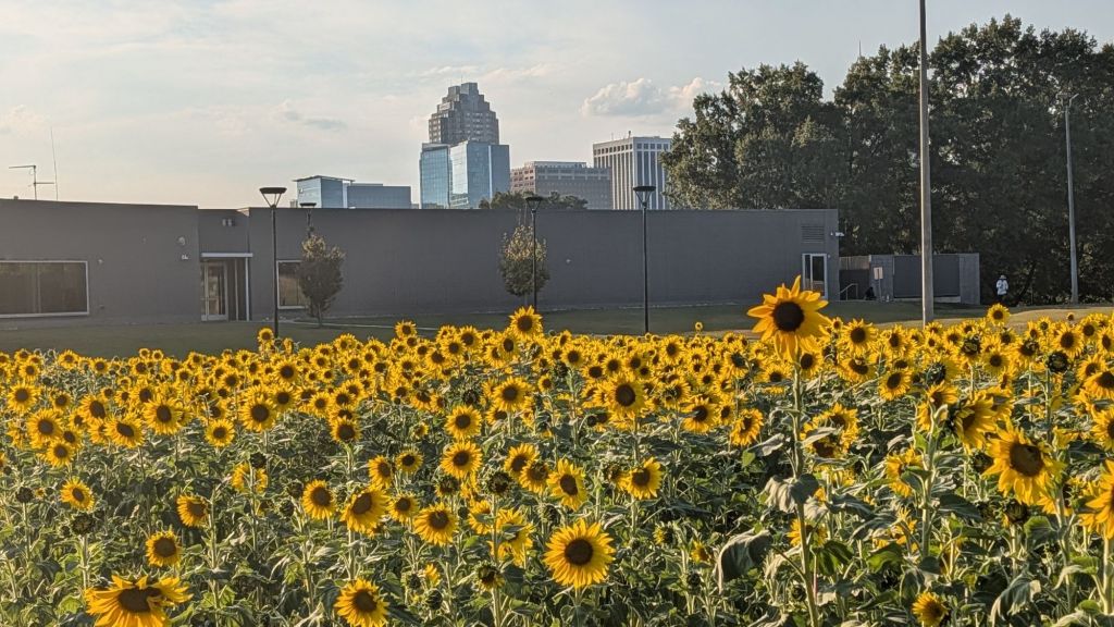 The City of Raleigh Government Events Guide Sunday October 5th&nbsp;Edition