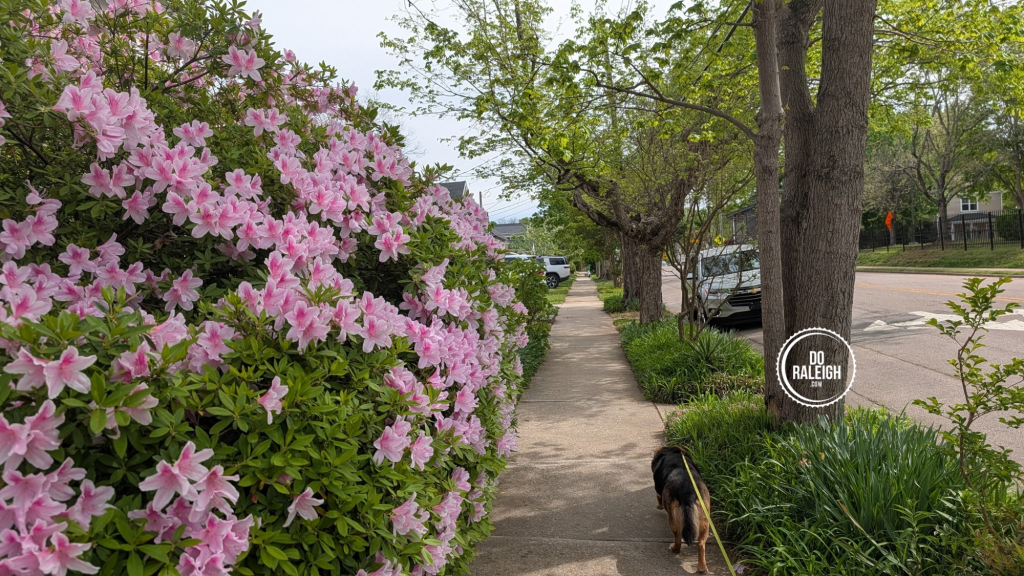 City of Raleigh Government Event Guide – Thursday April 9th Edition