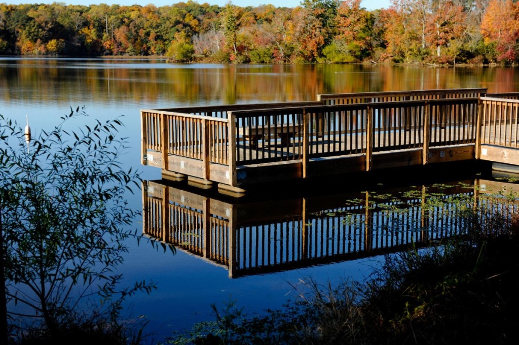 Wake County Waterways Carry Rare Warning: Officials Say Do Not Eat Fish from Certain Local&nbsp;Waters