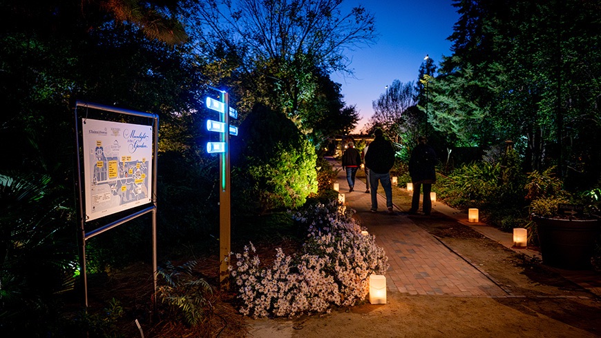 Moonlight in the Garden 2026 – Experience JC Raulston Arboretum After&nbsp;Dark